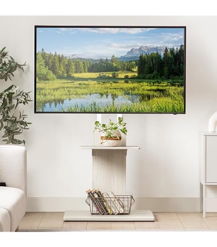 Amazon.co.jp: 壁寄せ型テレビスタンド 32～55インチ対応 FSG47-4401